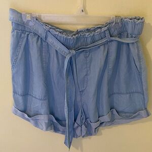 Aerie Light Blue Women's Shorts